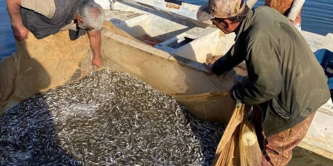 İznik Gölü’nde sezon bereketiyle başladı: Tek seferde 2 ton yakaladılar 3